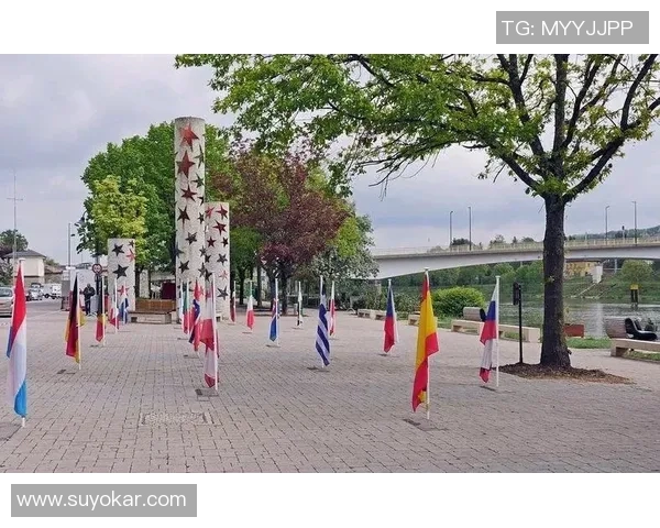 哥斯达黎加与百慕大足球对决精彩回顾与分析 哥斯达黎加与百慕大足球对决精彩回顾与分析