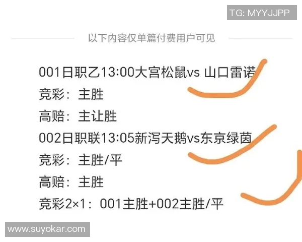 山口雷诺法与大宫松鼠的精彩对决分析与战术探讨