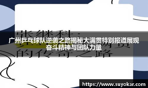 广州乒乓球队逆袭之路揭秘大满贯特别报道展现奋斗精神与团队力量